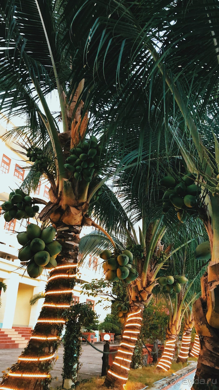 Солнце, море, пляж и немного ремонтного шума