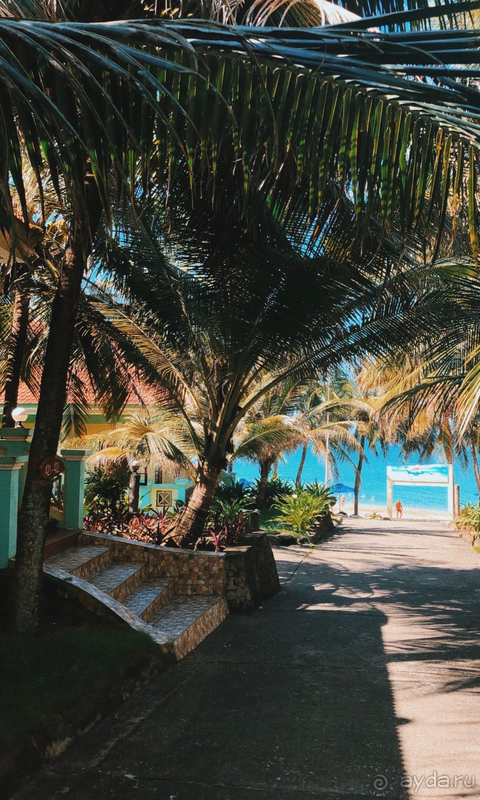 Солнце, море, пляж и немного ремонтного шума