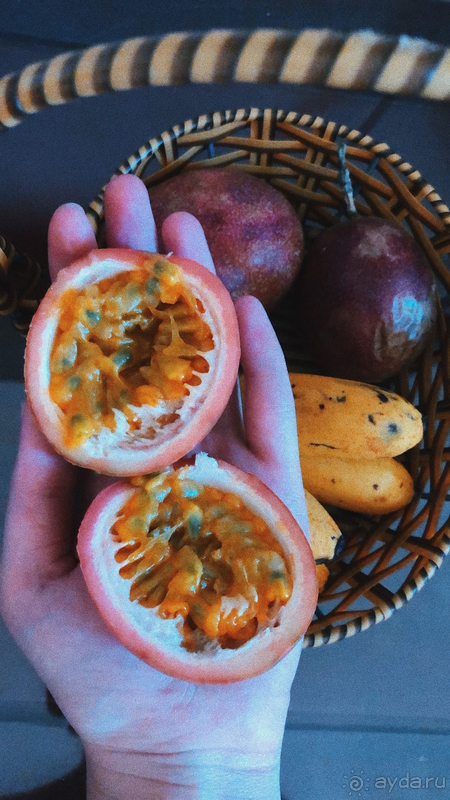 Солнце, море, пляж и немного ремонтного шума