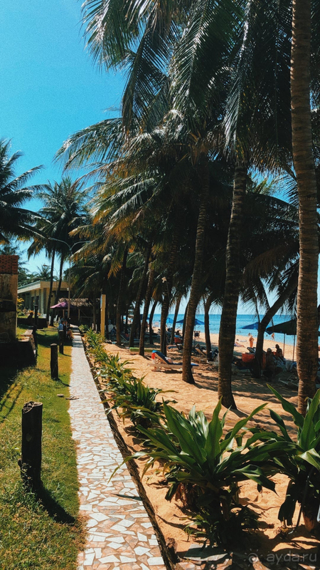 Солнце, море, пляж и немного ремонтного шума