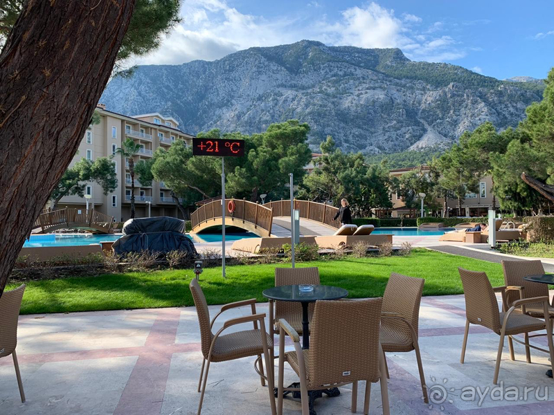 Новогодняя Акка