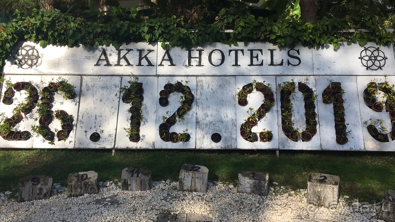 Новогодняя Акка