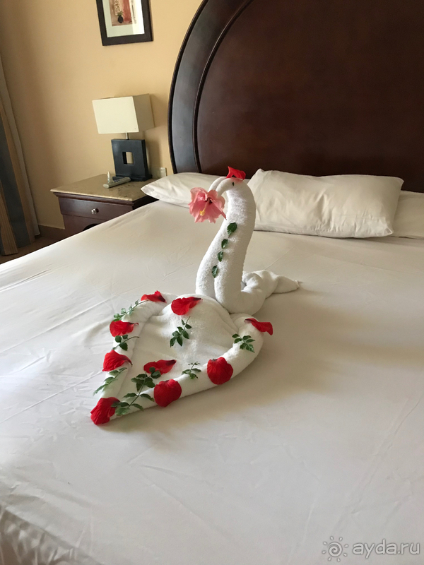 Отдых в отеле Stella di Mare Beach, в Хургаде, Египте. 