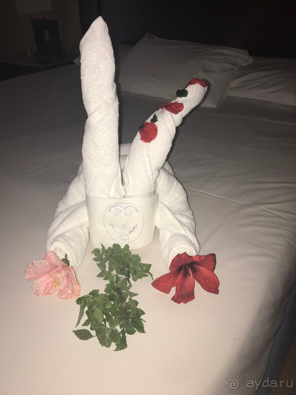 Отдых в отеле Stella di Mare Beach, в Хургаде, Египте. 