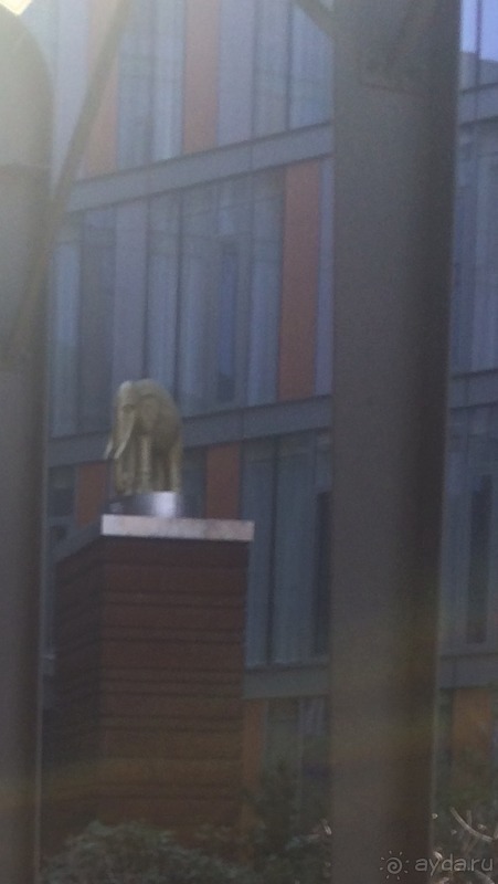 Современный отель 