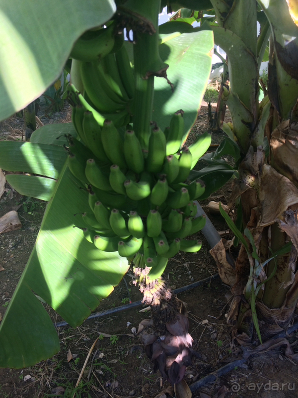 Хороший отель, за небольшие деньги