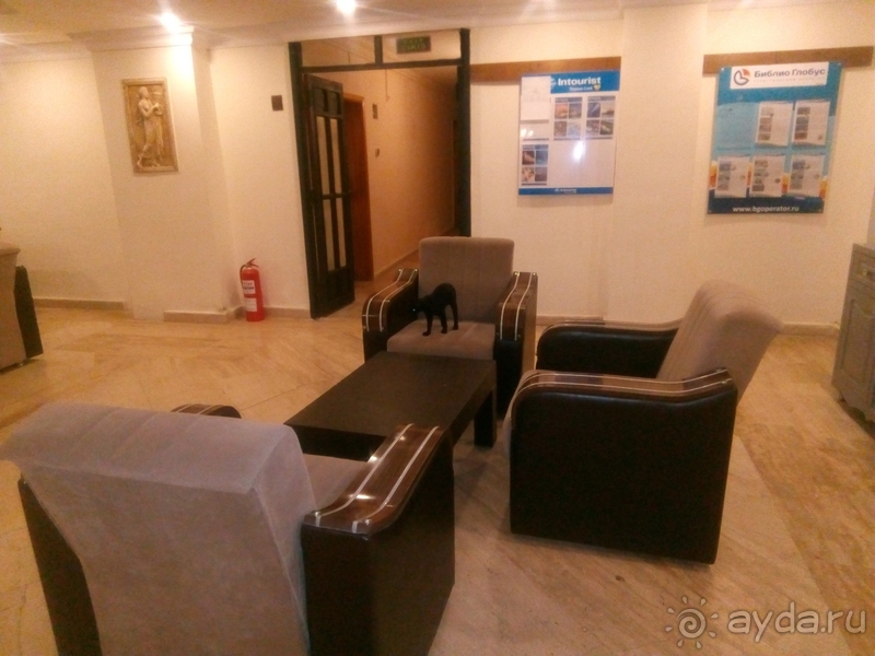 Уютный оазис для котиков, пенсионеров и активных туристов