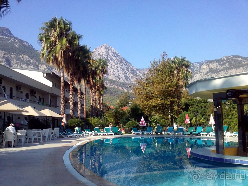 Уютный оазис для котиков, пенсионеров и активных туристов