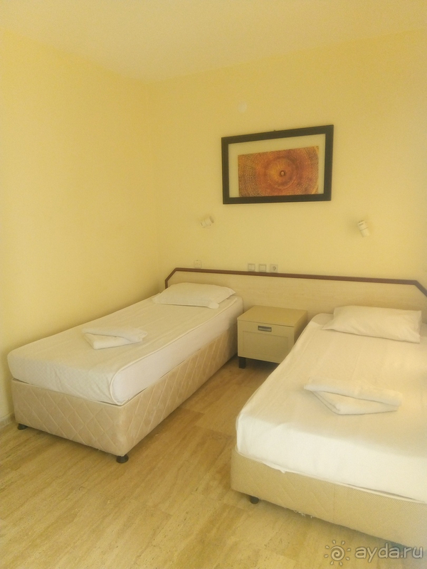 Уютный оазис для котиков, пенсионеров и активных туристов