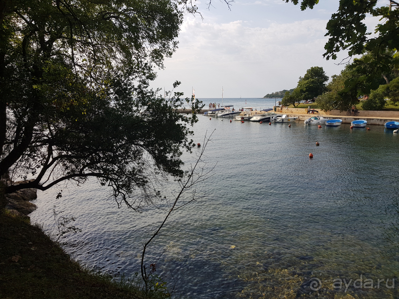 фото Hotel Mediteran Plava Laguna