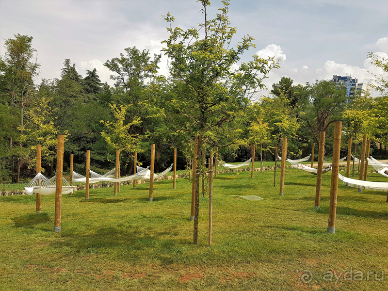 фото Hotel Mediteran Plava Laguna