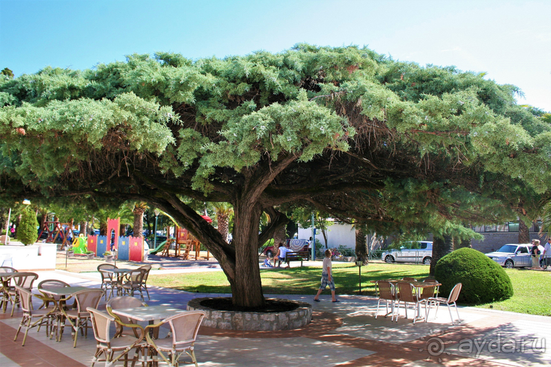 фото Montenegro Beach Resort