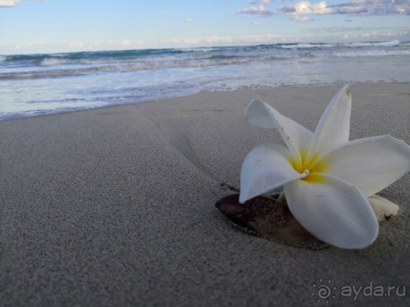 фото Starfish Varadero 