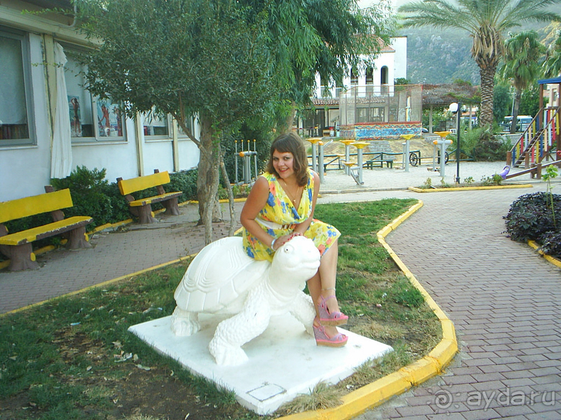 Море,море,море