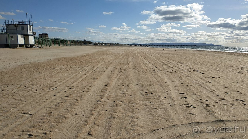 фото Витязь