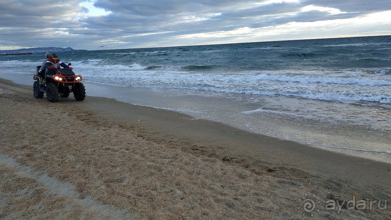 4 звезды ужаса