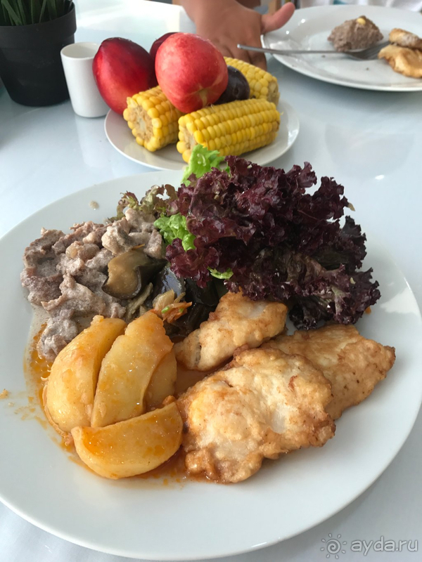 МОРЕЛЕТО - ОТДЫХ УДАЛСЯ )