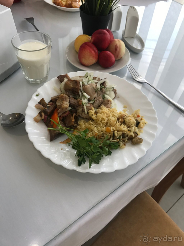 МОРЕЛЕТО - ОТДЫХ УДАЛСЯ ) МОРЕЛЕТО - ОТДЫХ УДАЛСЯ )