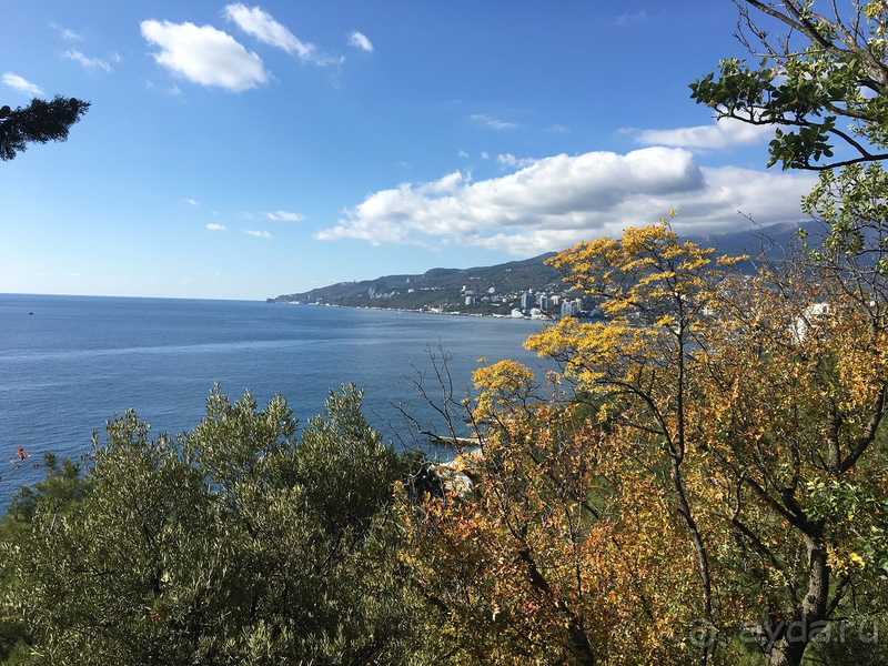 Надо улучшать сервис и нанимать больше персонала