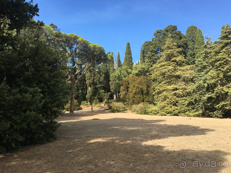 Надо улучшать сервис и нанимать больше персонала