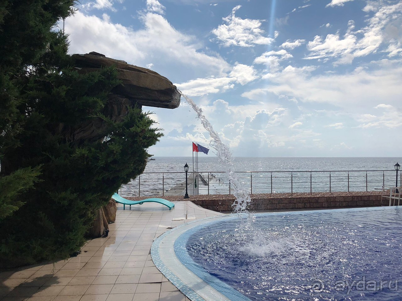 Остались довольны