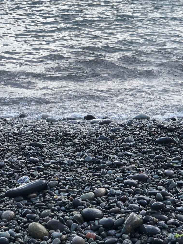 Остались довольны