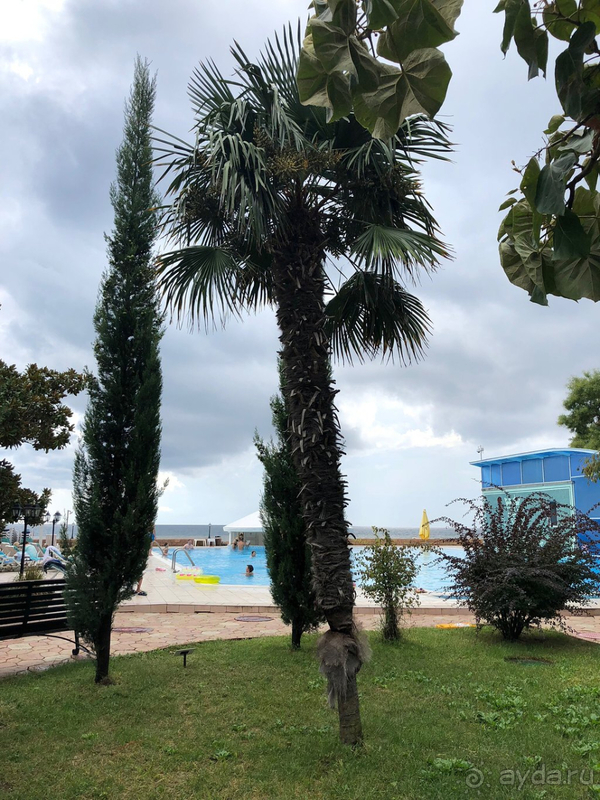 Остались довольны