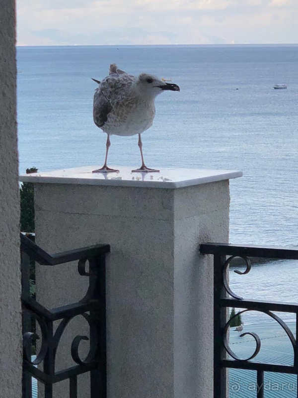 Остались довольны