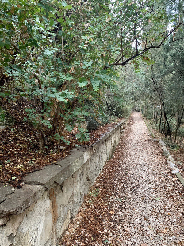 Неделя тишины и спокойствия