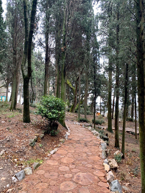 Неделя тишины и спокойствия