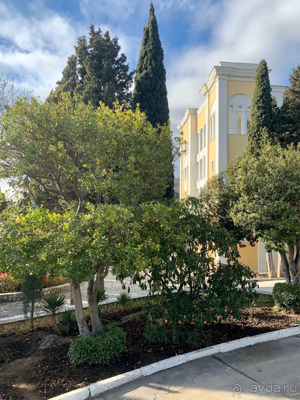 Неделя тишины и спокойствия