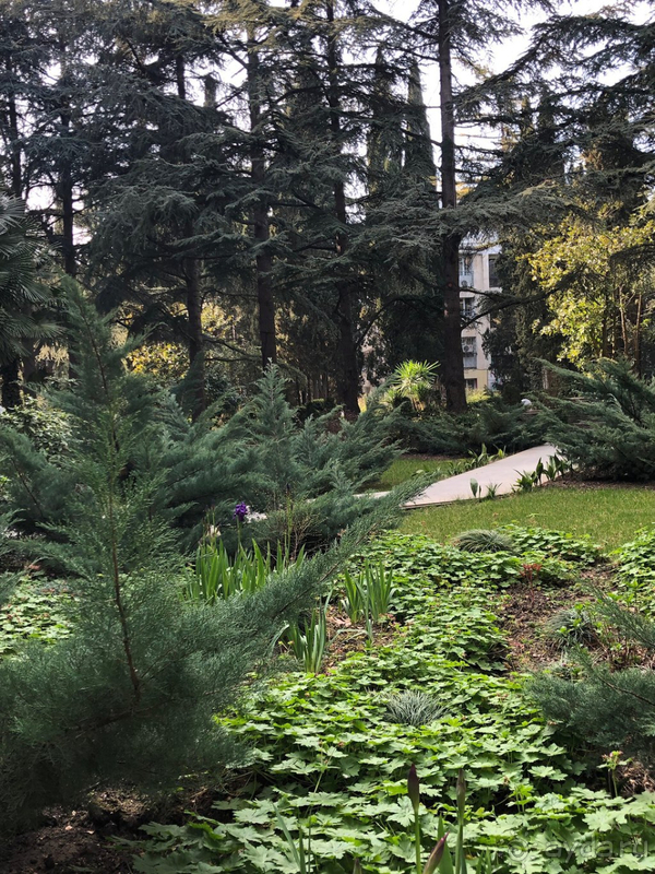 Лучший отель для отдыха с детьми