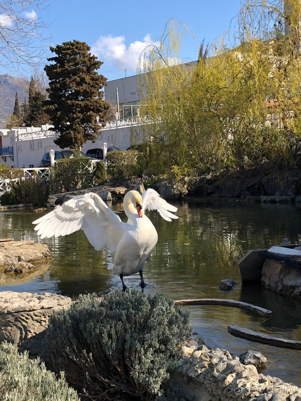 Лучший отель для отдыха с детьми