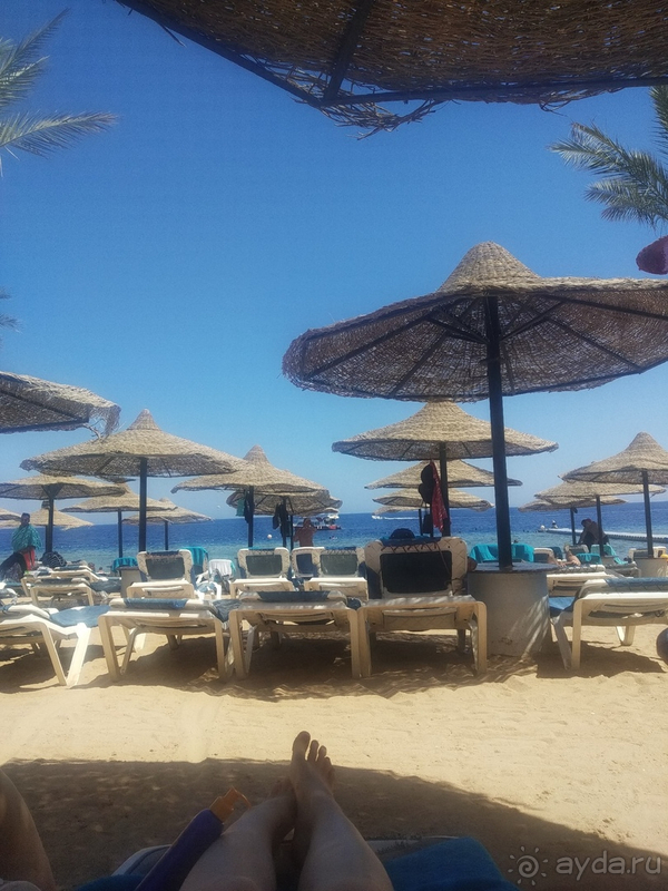 Из плюсов только море