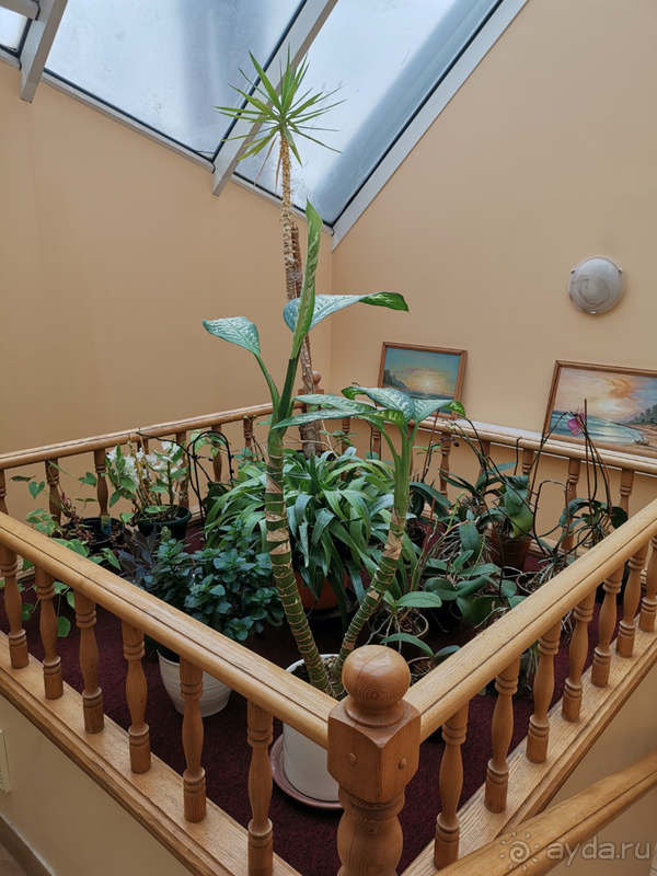 Тихий и уютный отель для одиночного путешествия или отдыха парой