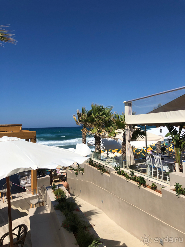 Отдых в отеле Cactus Beach