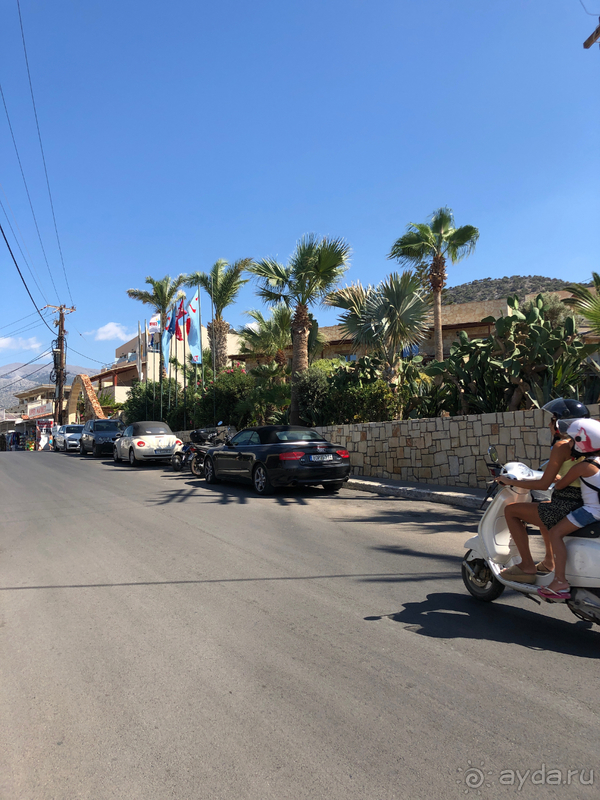 Отдых в отеле Cactus Beach