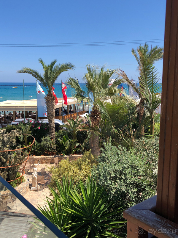 Отдых в отеле Cactus Beach