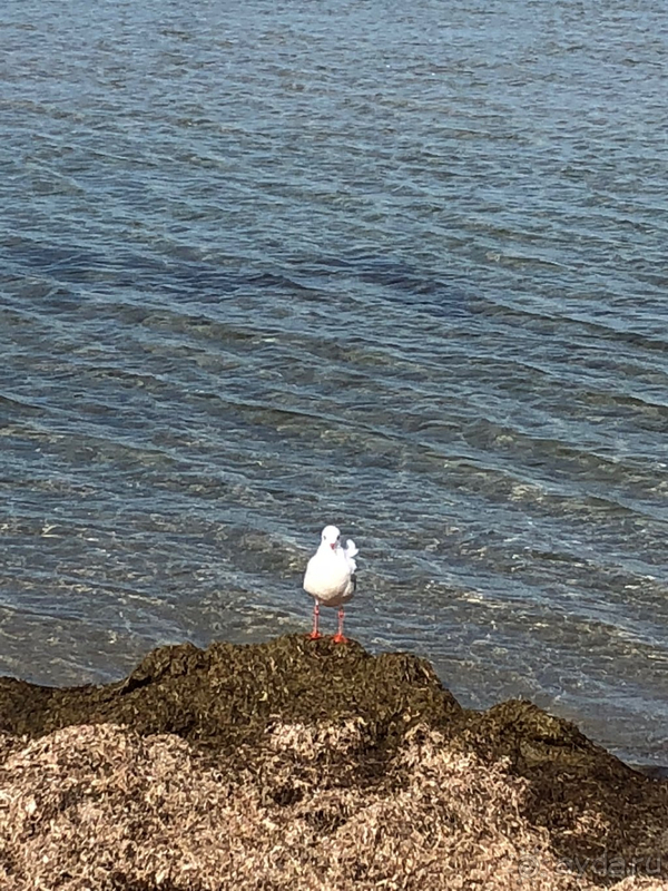 За такие деньги - хороший отдых!