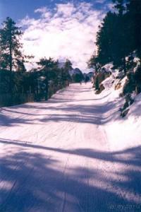 Ой, туманы мои...