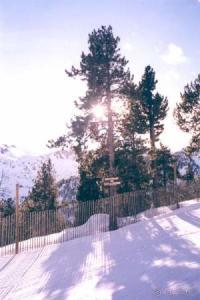 Ой, туманы мои...