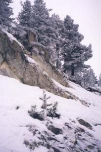 Ой, туманы мои...