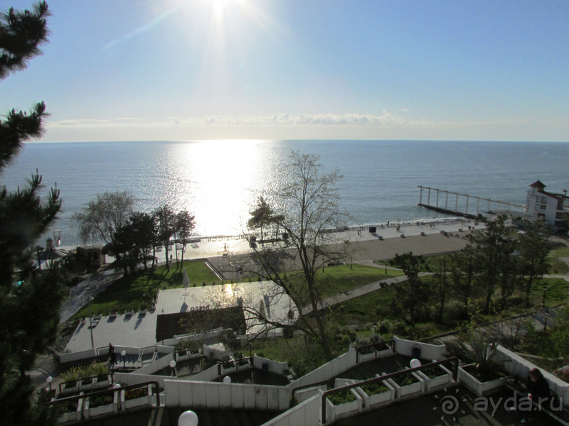 Отличный отель в Сочи!