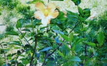 Хороший отдых