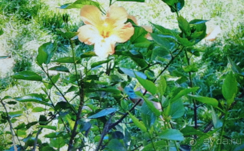 Хороший отдых