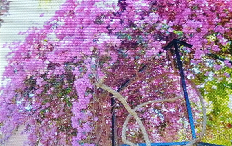 Хороший отдых