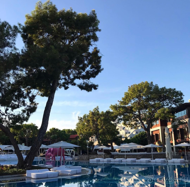 Очень весёлый отель