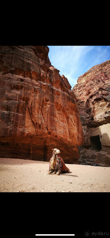 Арабская сказка