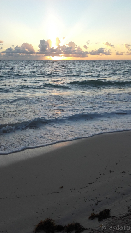 Отдых в отеле Occidental Punta Cana в Доминикане, Пунта Кана