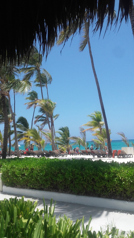Отдых в отеле Occidental Punta Cana в Доминикане, Пунта Кана